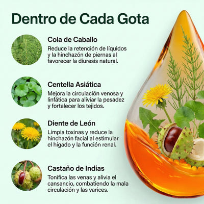 LINFATIC | Gotero Natural de Drenaje Linfático