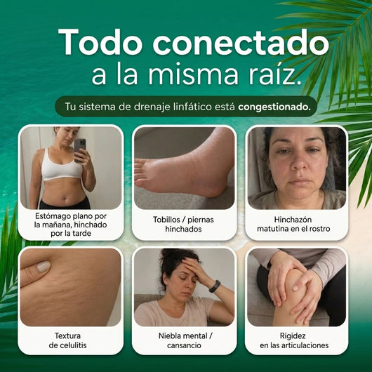 LINFATIC | Gotero Natural de Drenaje Linfático