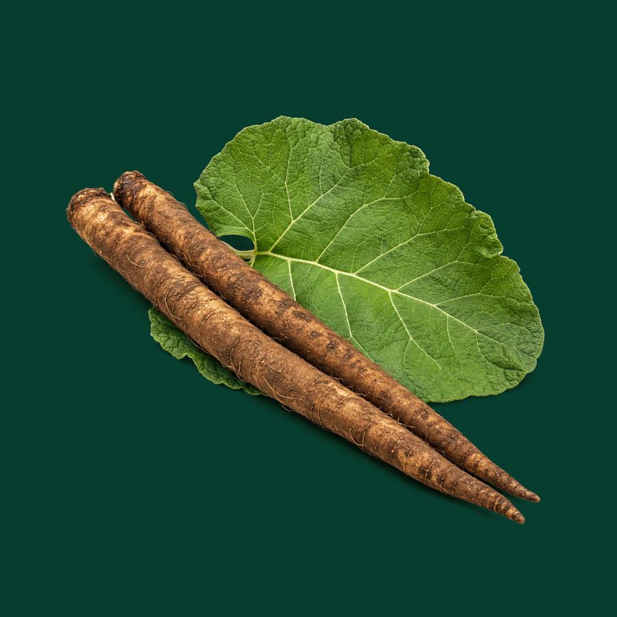 Bardana